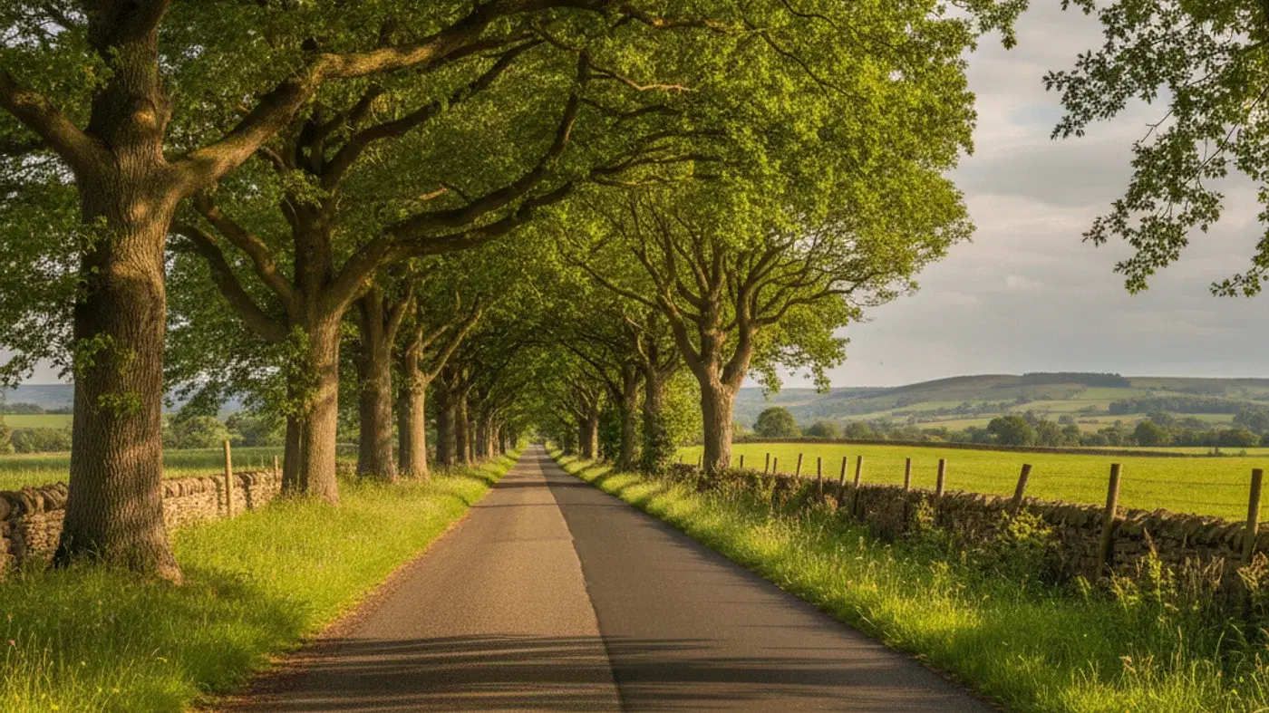 Running and Cycling in Ponteland: Routes and Where to Start